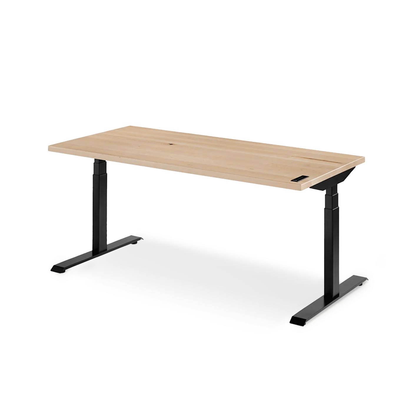 Ergonofis product photograph of the Sway standing desk in solid walnut