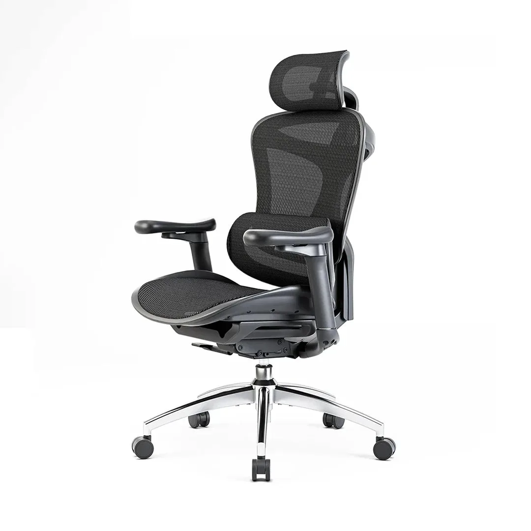 Sihoo product photograph of the Doro C300 ergonomic chair